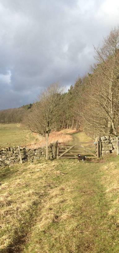 Preview of Warden Hill