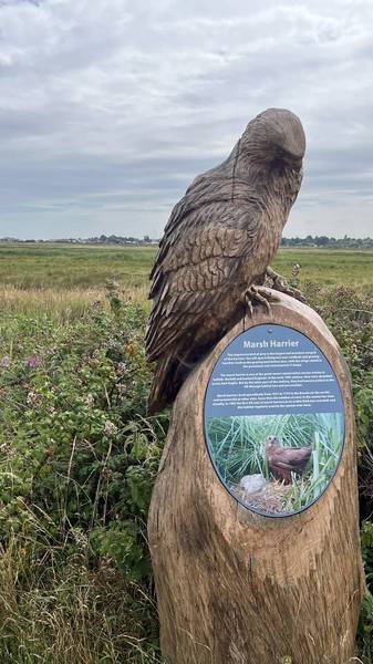 Preview of Southwold Sculpture Trail
