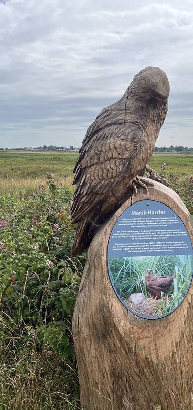 Preview of Southwold Sculpture Trail