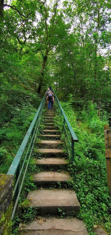 Preview of GM Ringway Stage 14