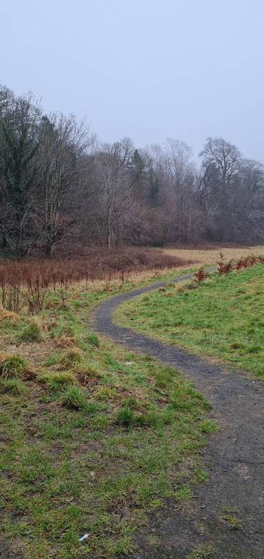 Preview of St John's Wellbeing Walk