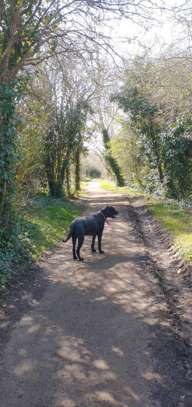 Preview of Bristol South Skyline Walk