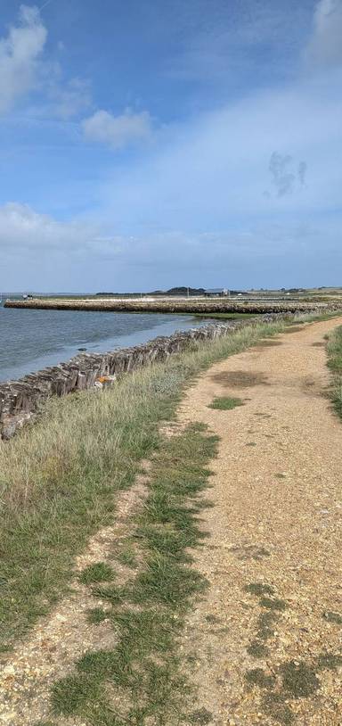 Preview of Newtown Creek Walk