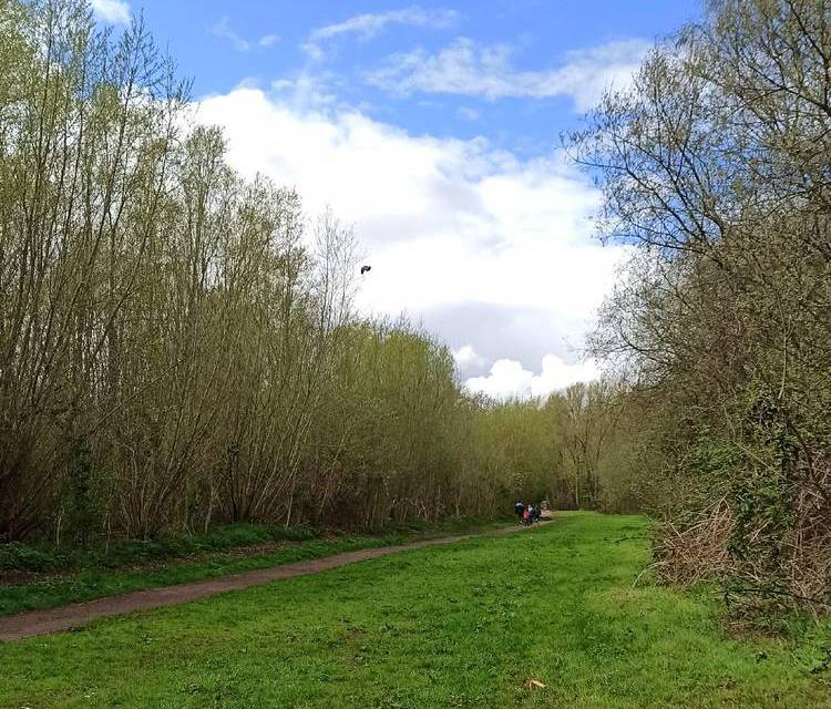 Preview of Blaby District Heritage Walk 7