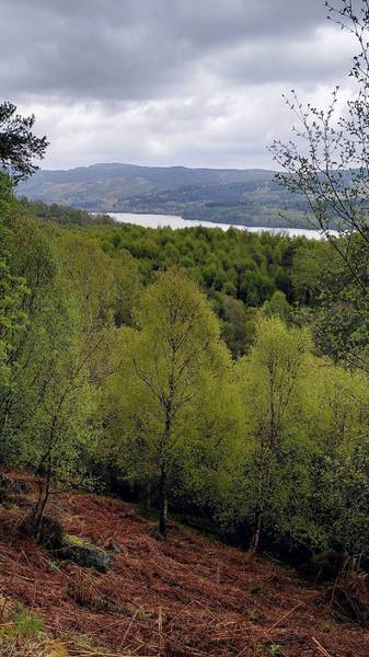 Preview of Glen Finglas loop