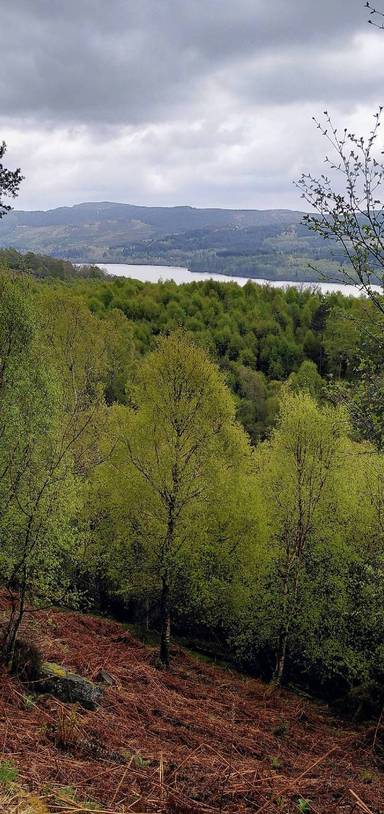 Preview of Glen Finglas loop