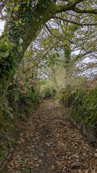 Preview of Warleggan to Pantersbridge
