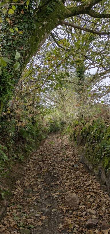 Preview of Warleggan to Pantersbridge