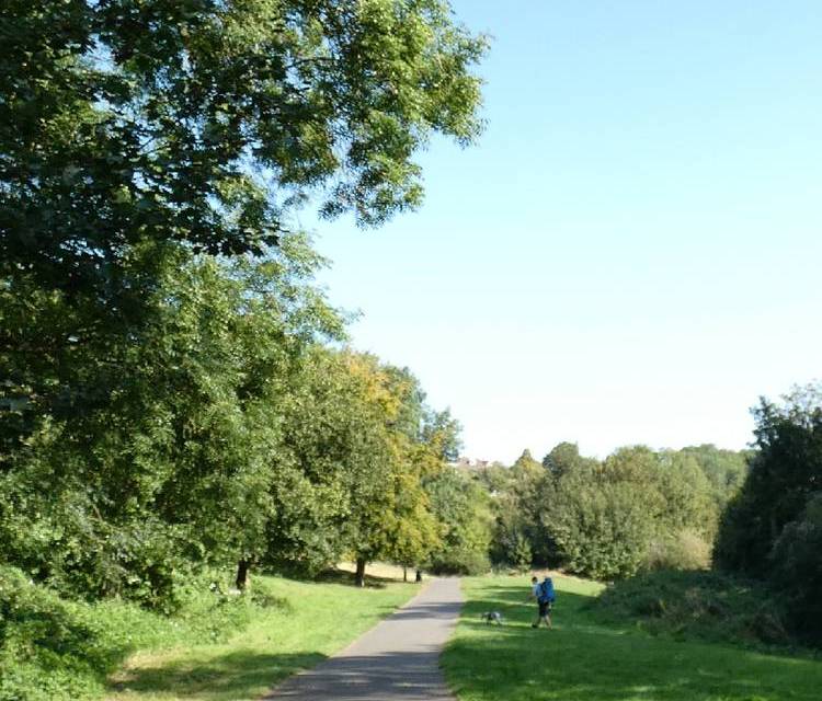 Preview of Manor Woods Valley - The Path