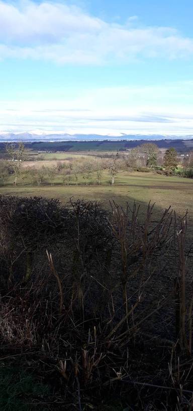Preview of Williamscraig Walk