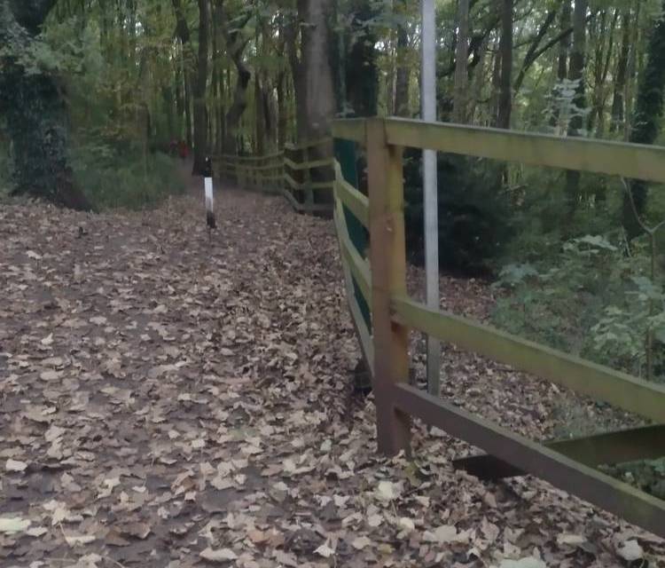 Preview of Hutcliffe Wood circular