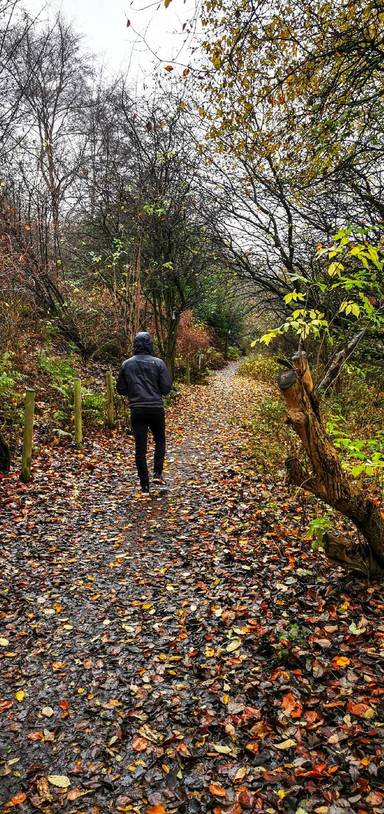 Preview of Irlam green spaces