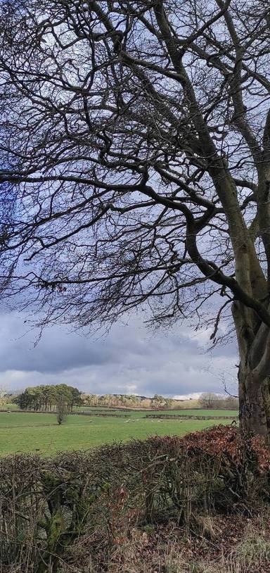 Preview of Jock's Gill to Milton LNR