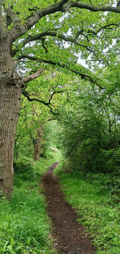 Preview of Chessington south - Winey Hill