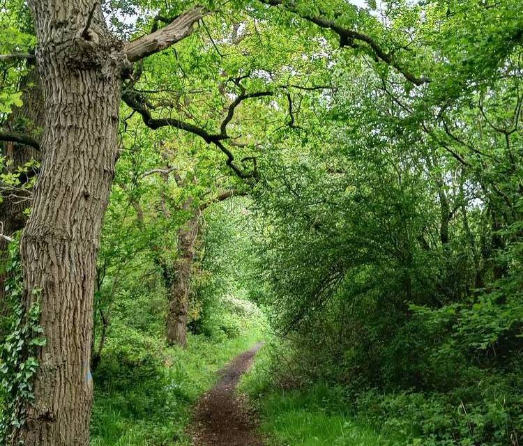Preview of Chessington south - Winey Hill