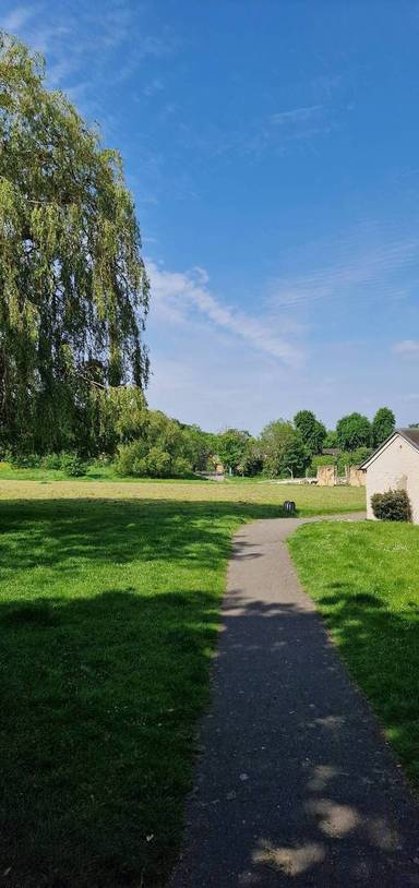 Preview of Forest Hill Green Spaces