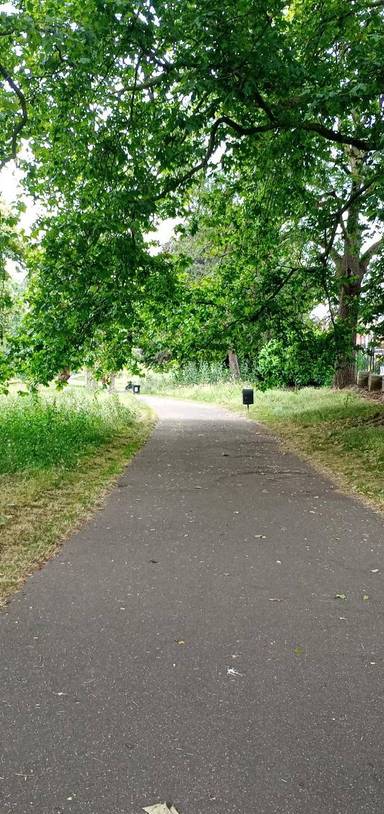 Preview of Brixton/Kennington Ramble