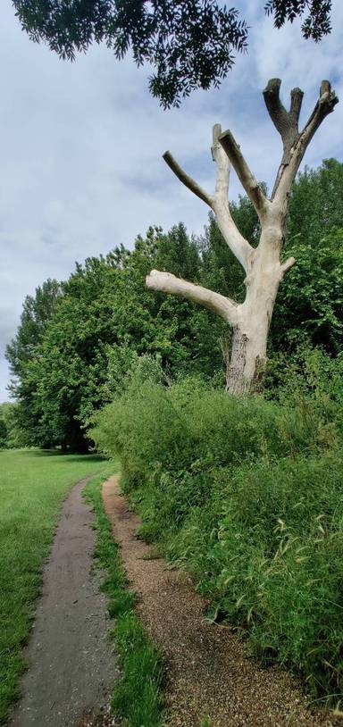 Preview of Hackney Marsh Lee Valley Park