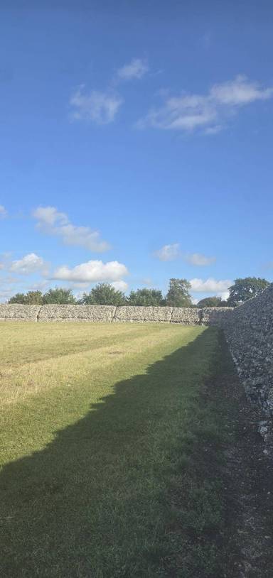 Preview of Burgh castle