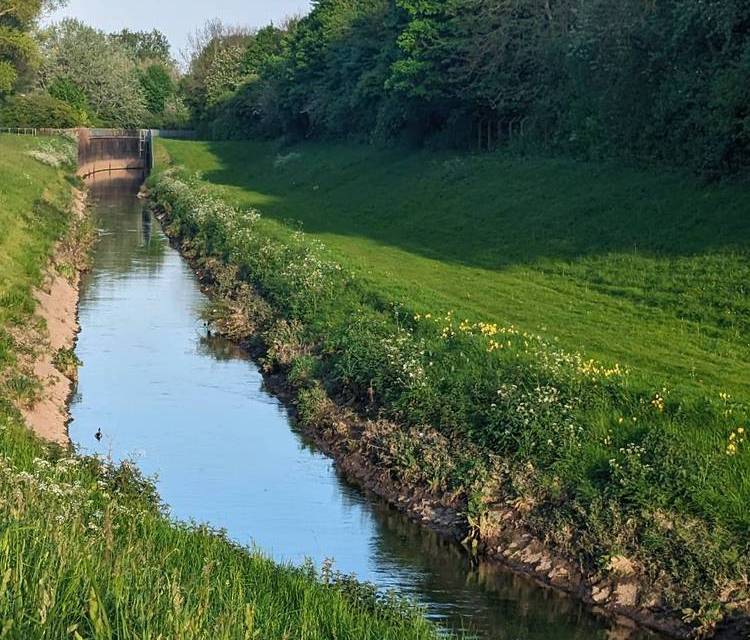 Preview of River Leen 5 Lenton to Wilford