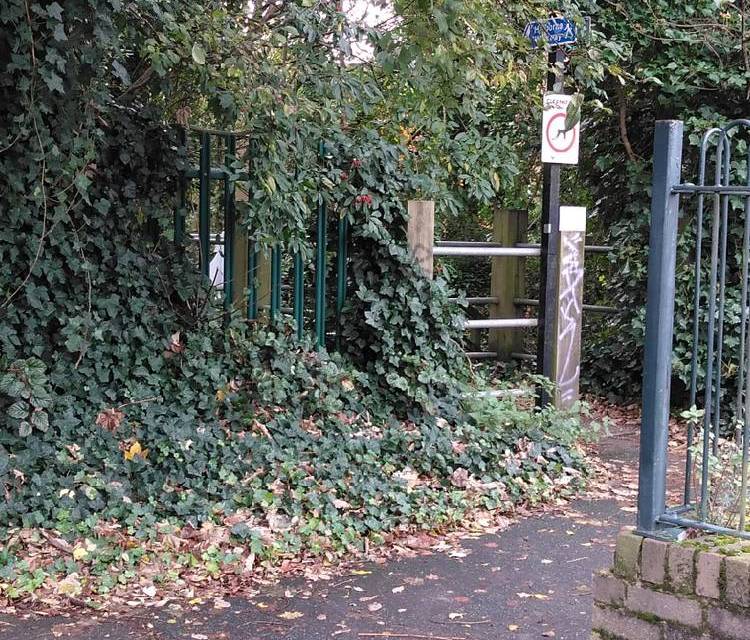 Preview of Harborne Walkway & Water Walk
