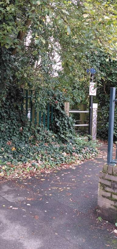 Preview of Harborne Walkway & Water Walk