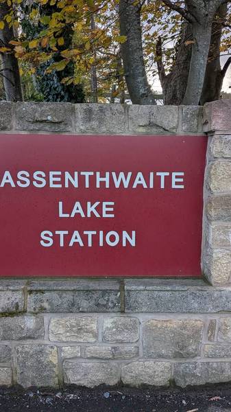 Preview of A small Wainwright - Sale fell