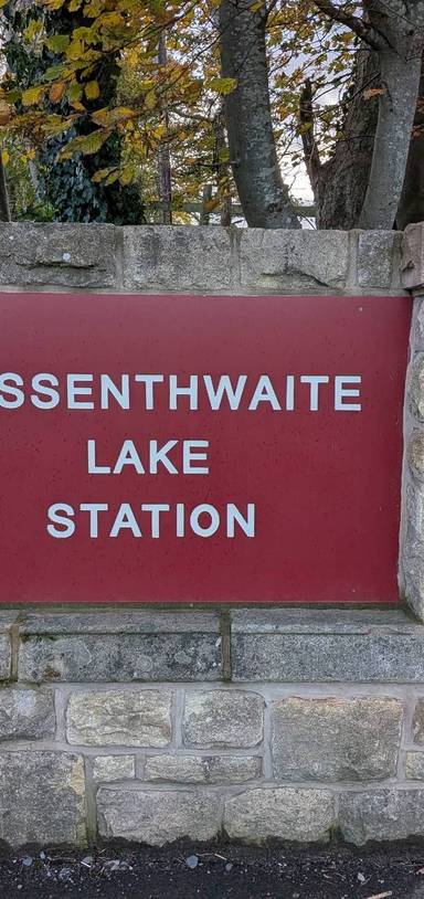 Preview of A small Wainwright - Sale fell