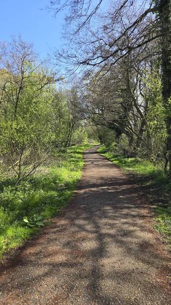 Preview of Step Free Wensum Loop