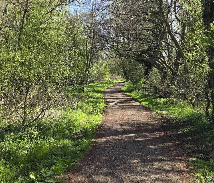 Preview of Step Free Wensum Loop