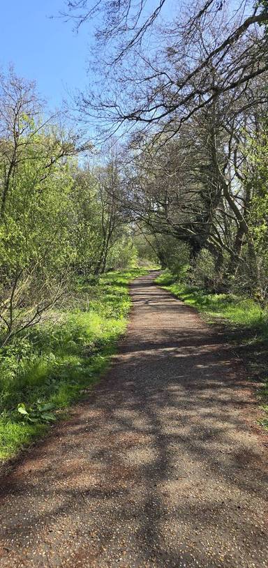 Preview of Step Free Wensum Loop
