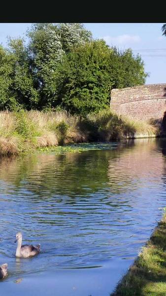 Preview of Bear Brook & Oakfield lakes