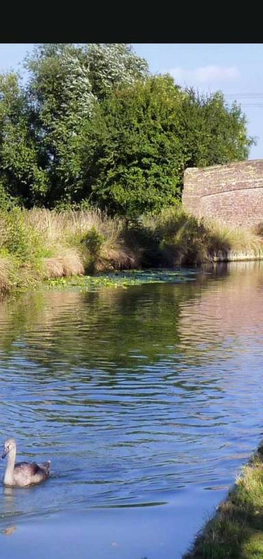 Preview of Bear Brook & Oakfield lakes