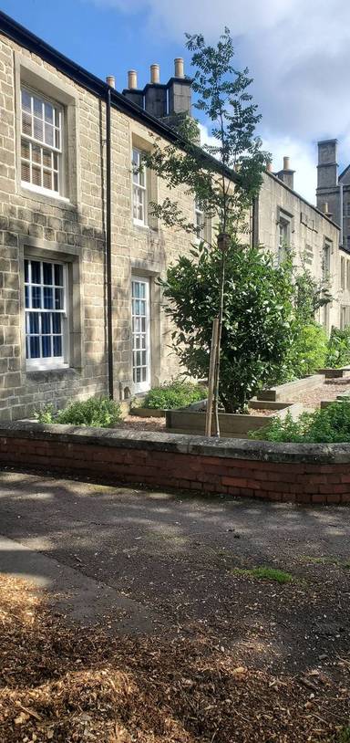 Preview of Swindon Health History Tour