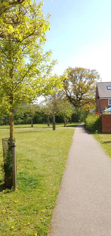 Preview of Roam & Ride in Round House Park