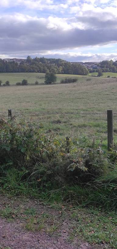 Preview of Bellfield Loop
