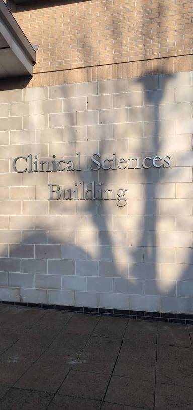 Preview of Red sunshine route