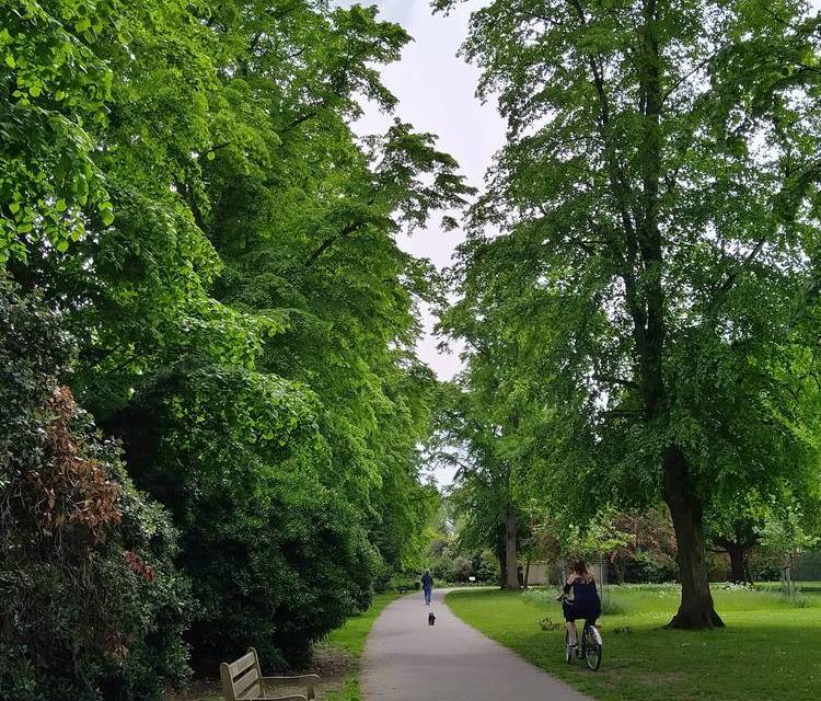 Preview of Sensory walk in Carlisle Park