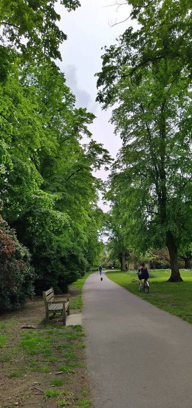 Preview of Sensory walk in Carlisle Park
