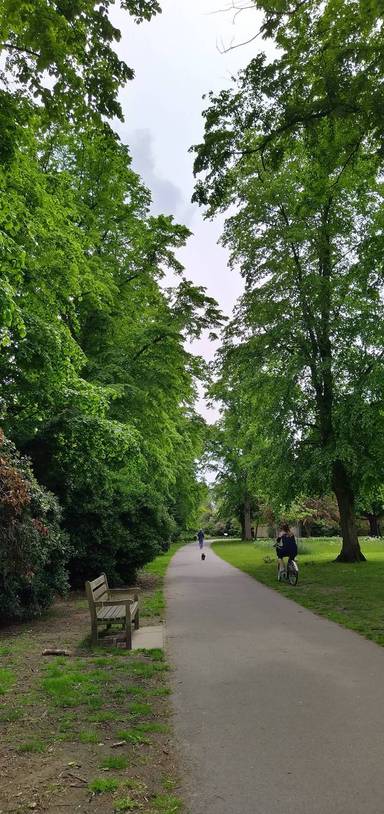 Preview of Sensory walk in Carlisle Park