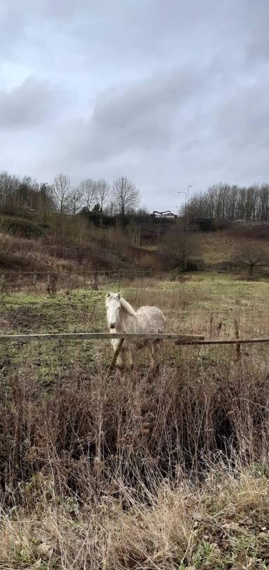 Preview of Tiddenfoot & Rd to Mentmore