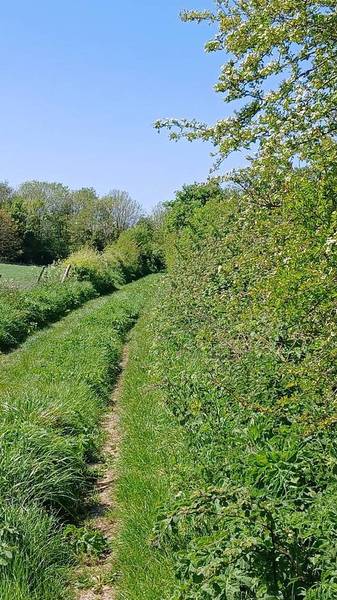 Preview of Portsdown Hill North Walk