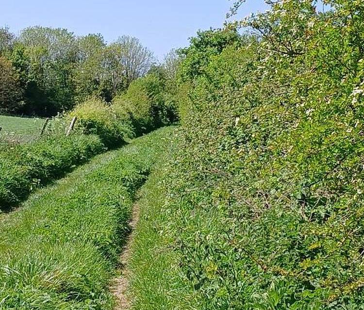 Preview of Portsdown Hill North Walk