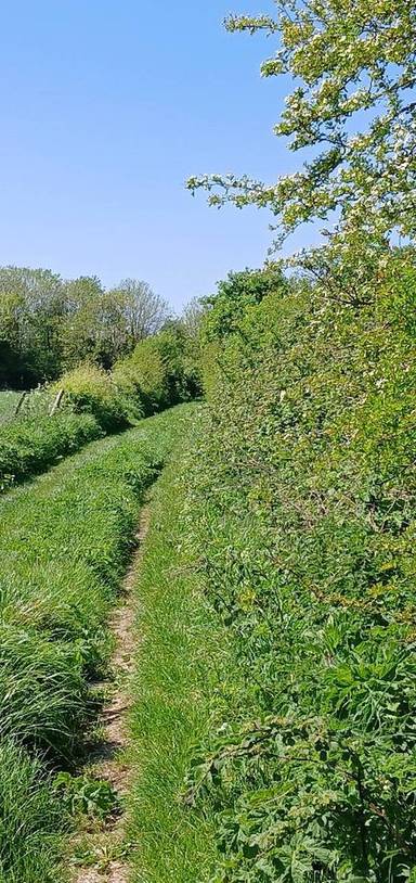 Preview of Portsdown Hill North Walk