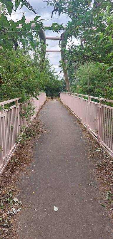 Preview of Lee Navigation West Bank Path