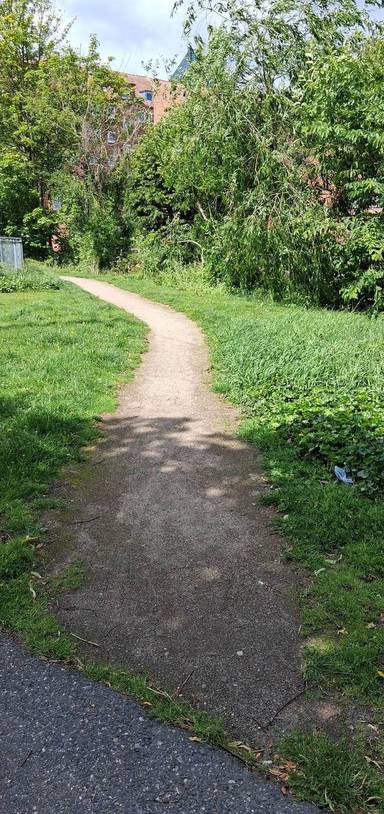 Preview of Ways of Walking, Ways of Being