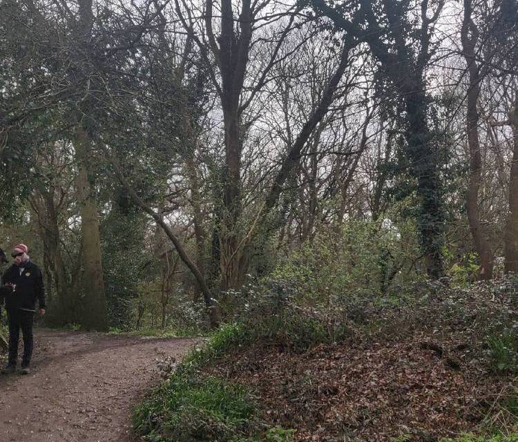 Preview of Tolworth to Chessington walk