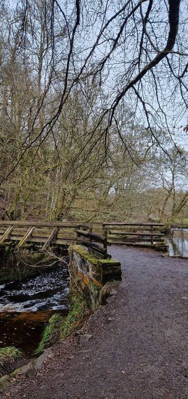 Preview of Calderglen Circular Walk