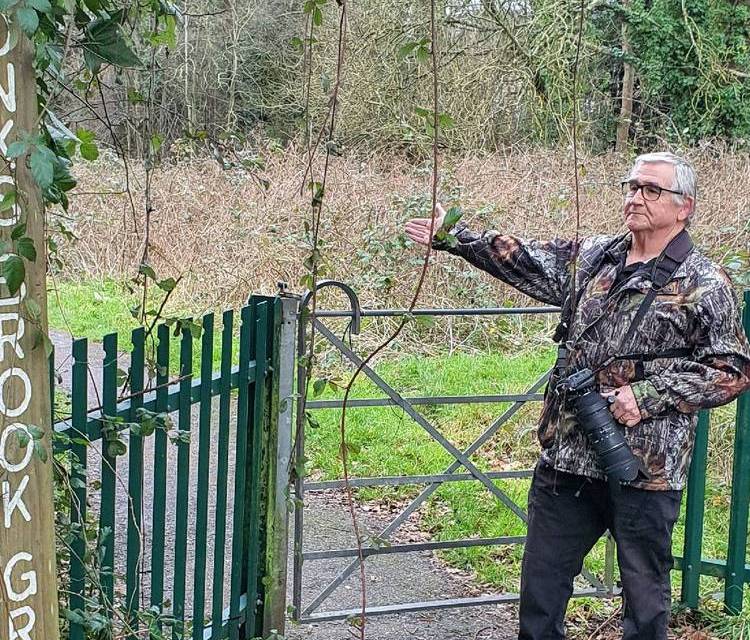 Preview of SO18 Rob's Monks Brook Walk