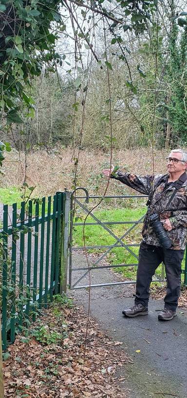 Preview of SO18 Rob's Monks Brook Walk